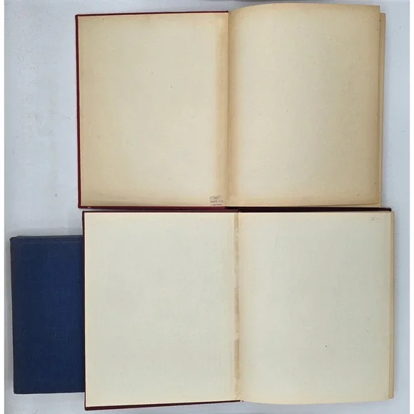 3 Lot Istituto Italiano D'Arti Grafiche Books - Bramante, Giambellino, Giorgione - Picture 4 of 16